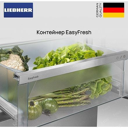 Холодильник Liebherr Rd 5220