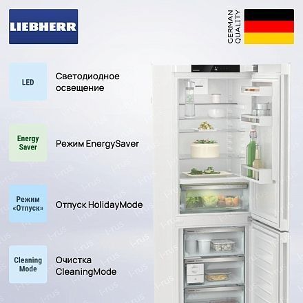 Холодильник Liebherr CBNc 5223