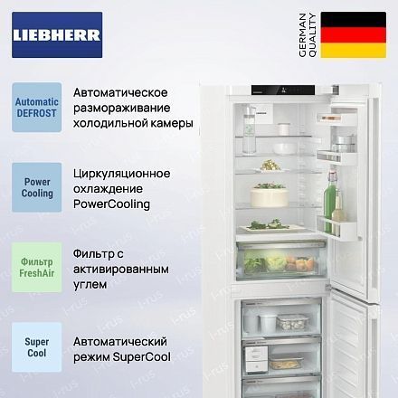 Холодильник Liebherr CBNc 5223