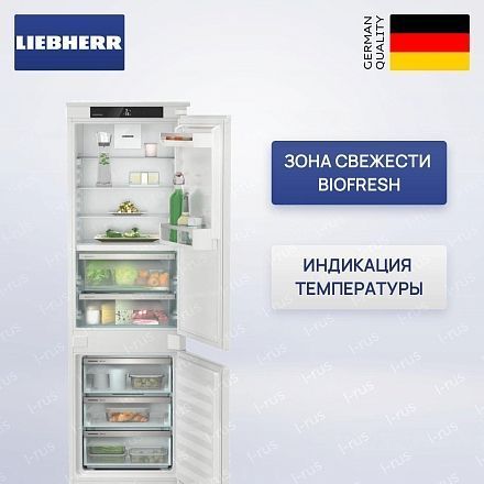 Холодильник Liebherr ICBNSd 5123