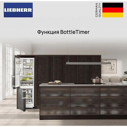 Холодильник Liebherr ICBNSd 5123