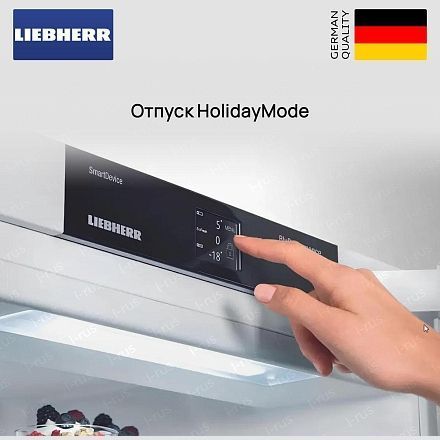 Холодильник Liebherr ICBSd 5122