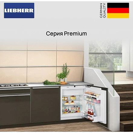 Холодильник Liebherr ICBNd 5163