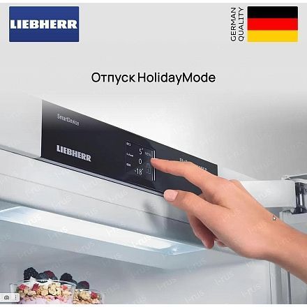 Холодильник Liebherr IRBd 4551