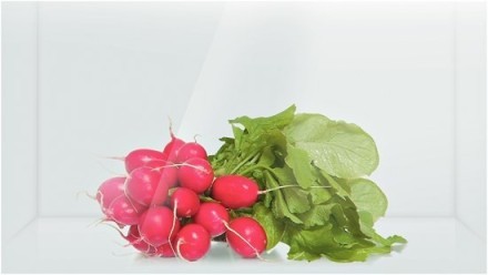 Встраиваемый однокамерный холодильник Bosch KIL82AF30R