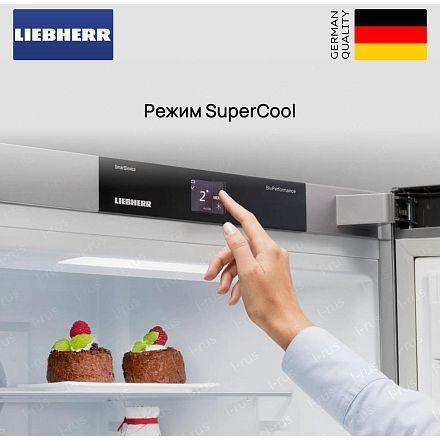 Холодильник Liebherr Rci 1621