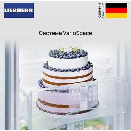 Холодильник Liebherr CTele 2931