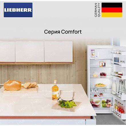 Холодильник Liebherr IRe 4101