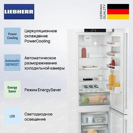 Холодильник Liebherr CNd 5703